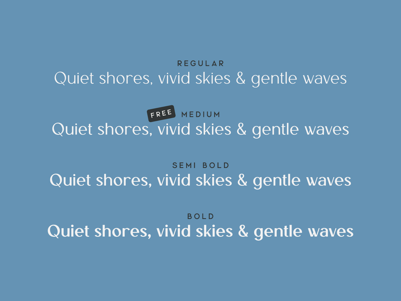 Tiree Font Family: 4 Weights Tiree Font Family: 4 Weights